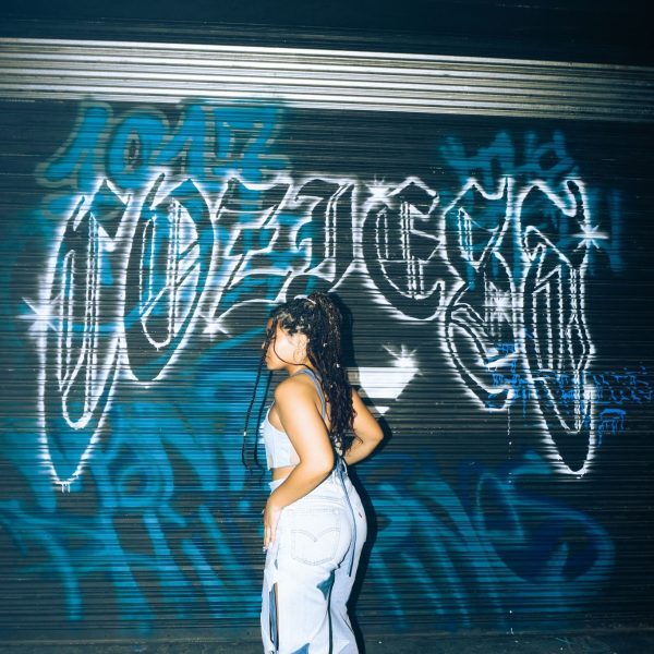 Mural_Works_Cosyest-4_dslkxj